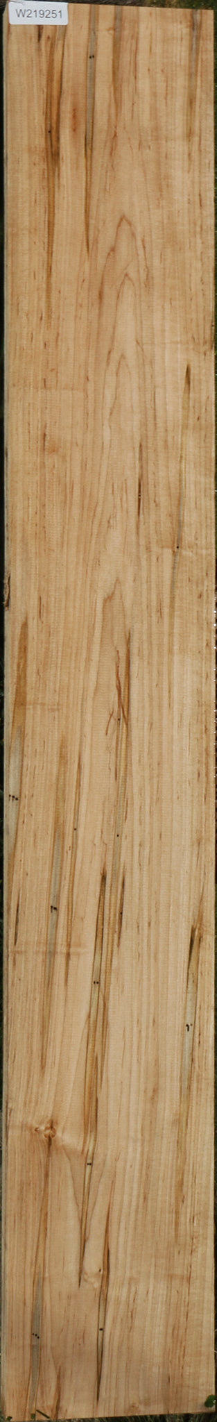 Figured Ambrosia Maple Lumber