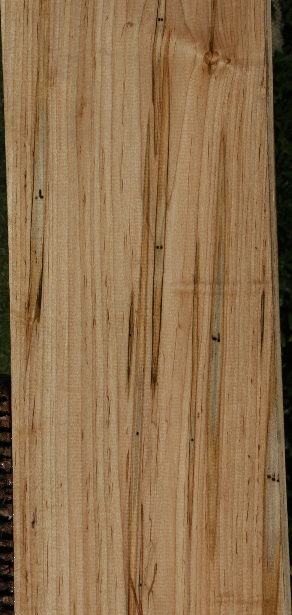 Figured Ambrosia Maple Lumber