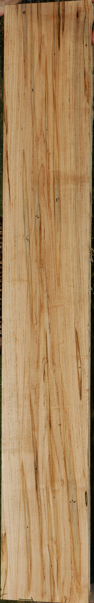 Figured Ambrosia Maple Lumber