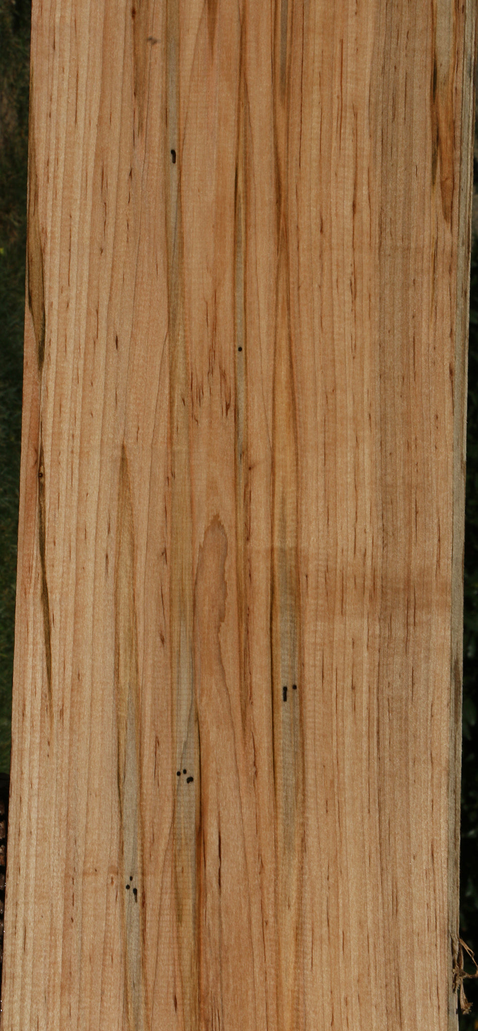 Figured Ambrosia Maple Lumber