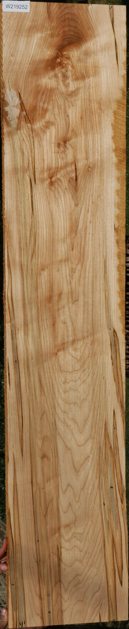 Figured Ambrosia Maple Lumber