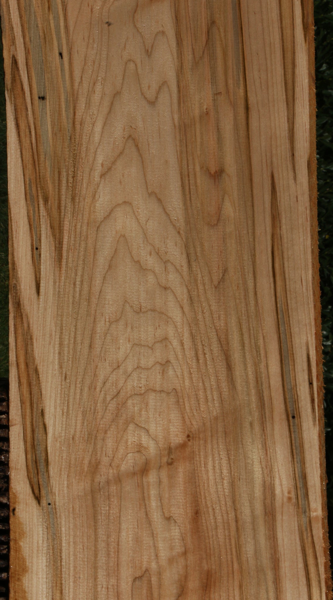 Figured Ambrosia Maple Lumber