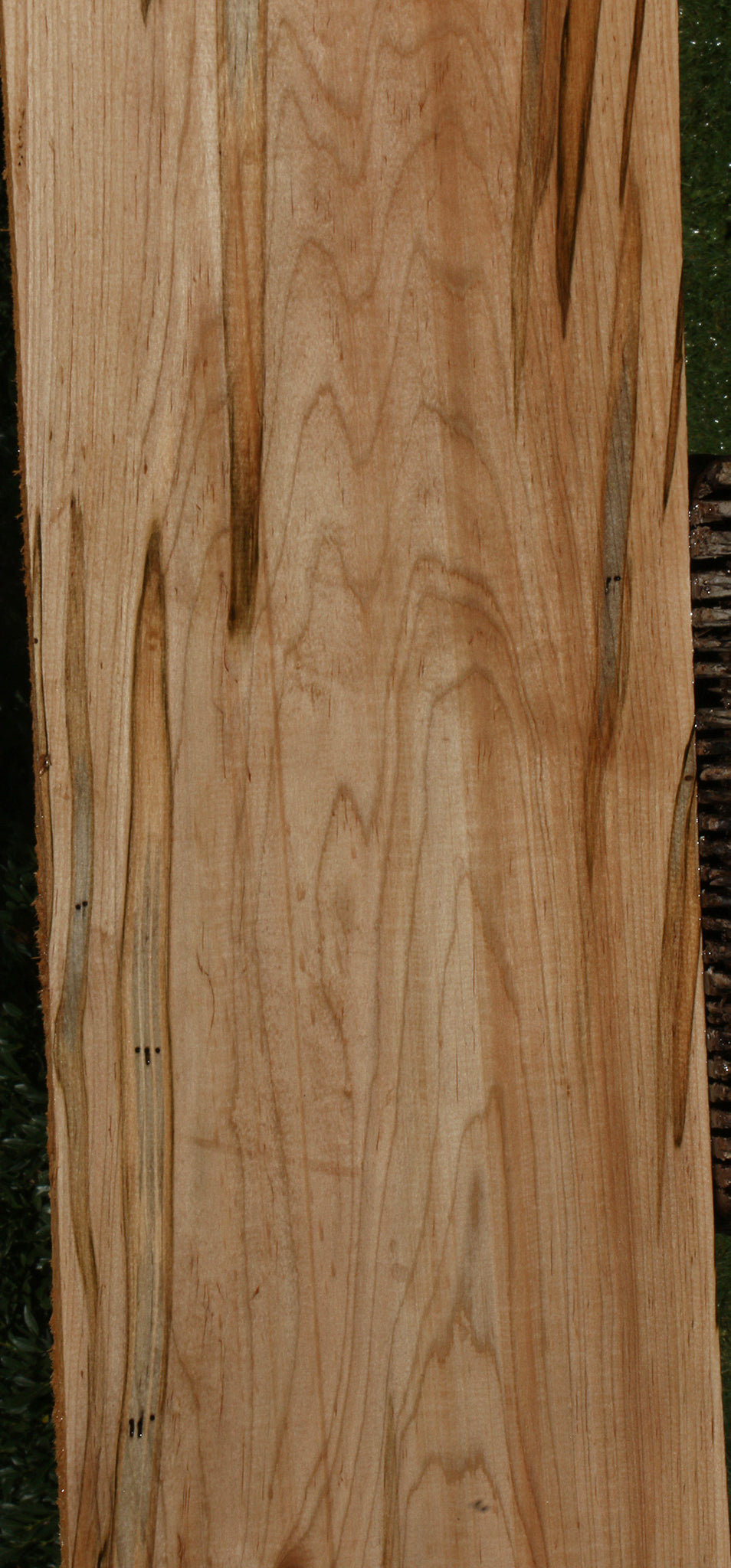 Figured Ambrosia Maple Lumber