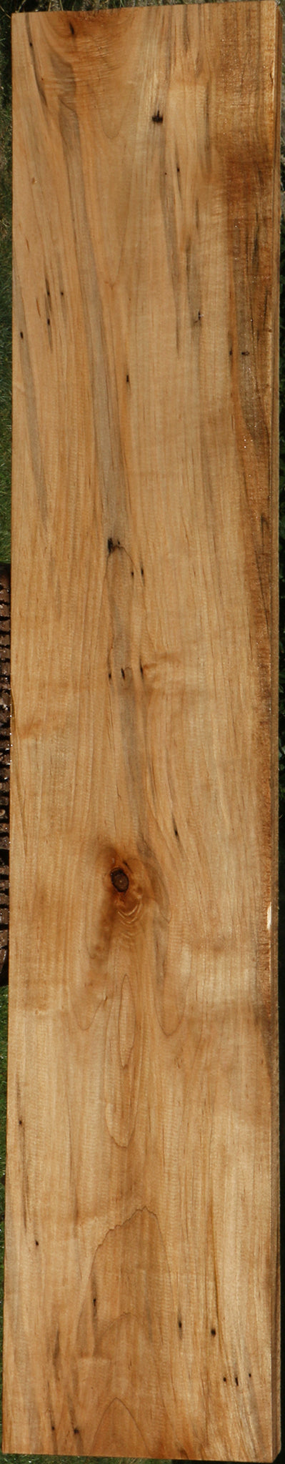 Extra Fancy Ambrosia Maple Lumber