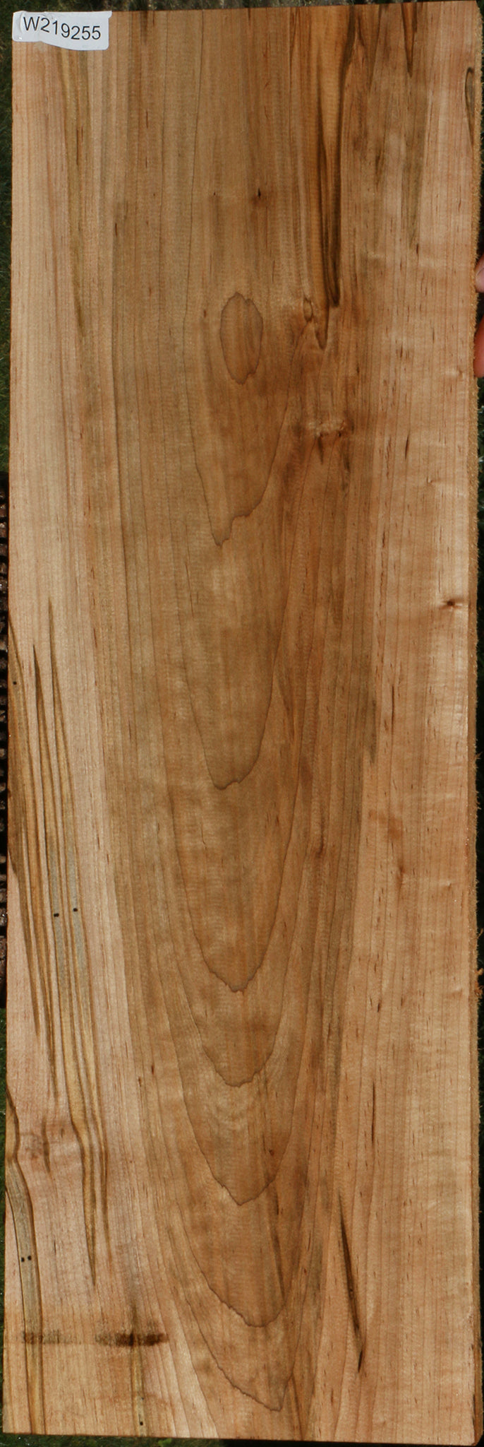 Ambrosia Maple Lumber