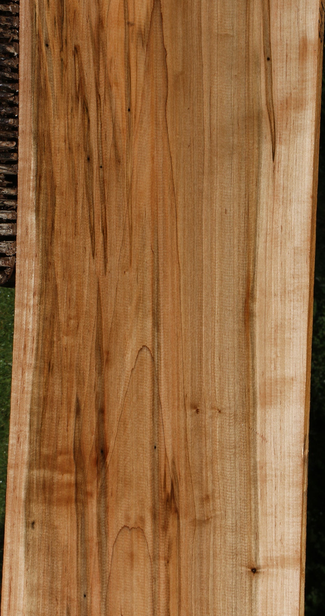 Figured Ambrosia Maple Lumber