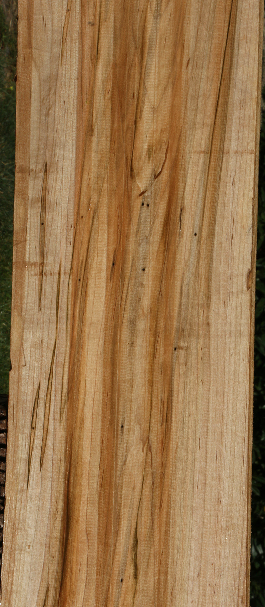 Ambrosia Maple Lumber