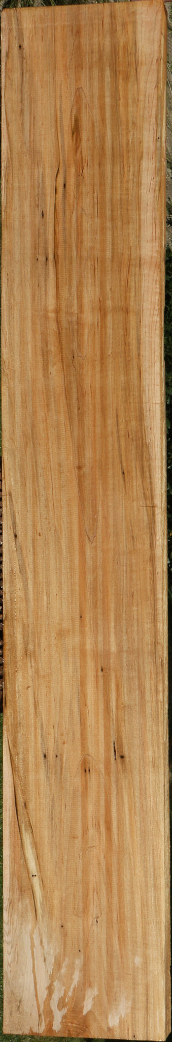 Ambrosia Maple Lumber