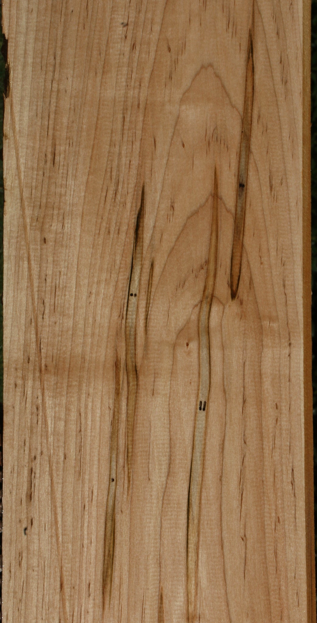 Figured Ambrosia Maple Lumber