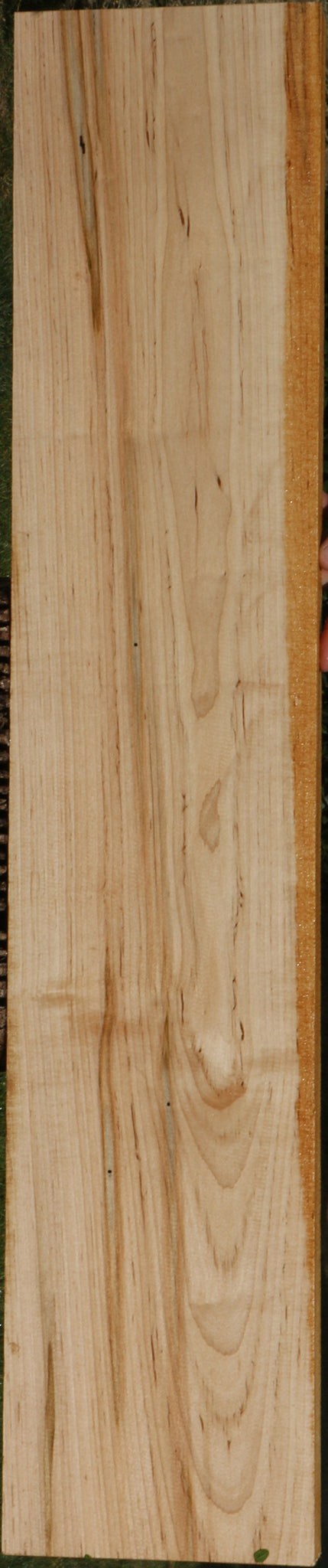 Figured Ambrosia Maple Lumber