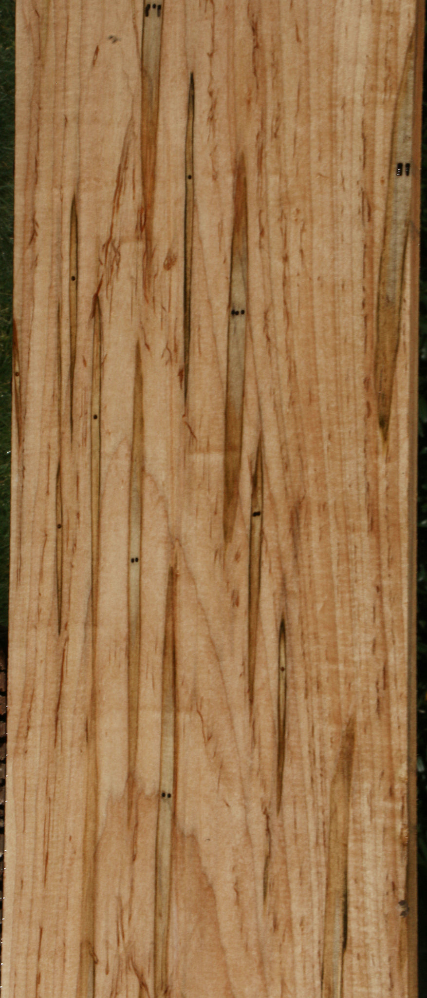 Extra Fancy Ambrosia Maple Lumber