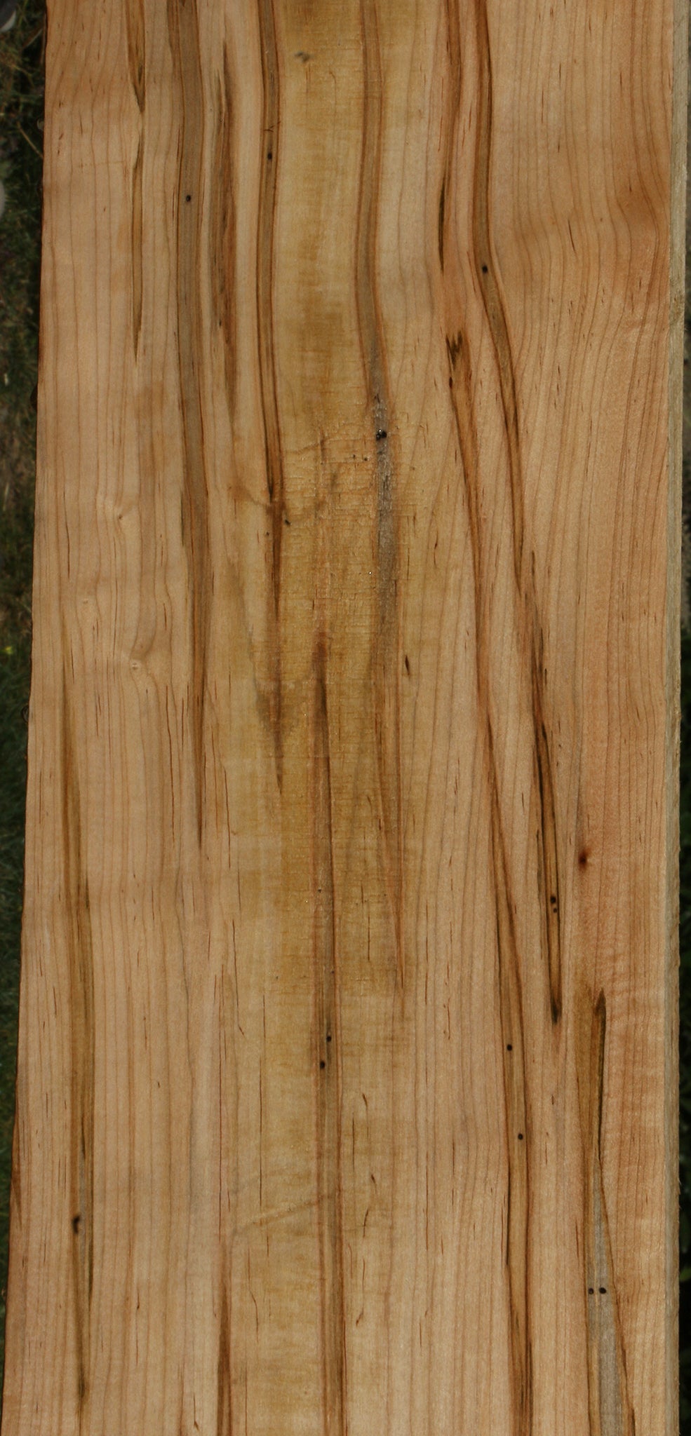 Figured Ambrosia Maple Lumber