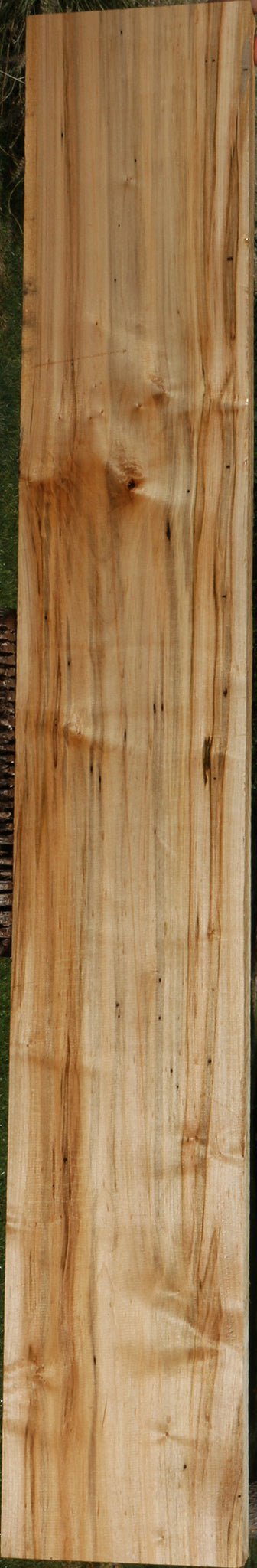 Figured Ambrosia Maple Lumber