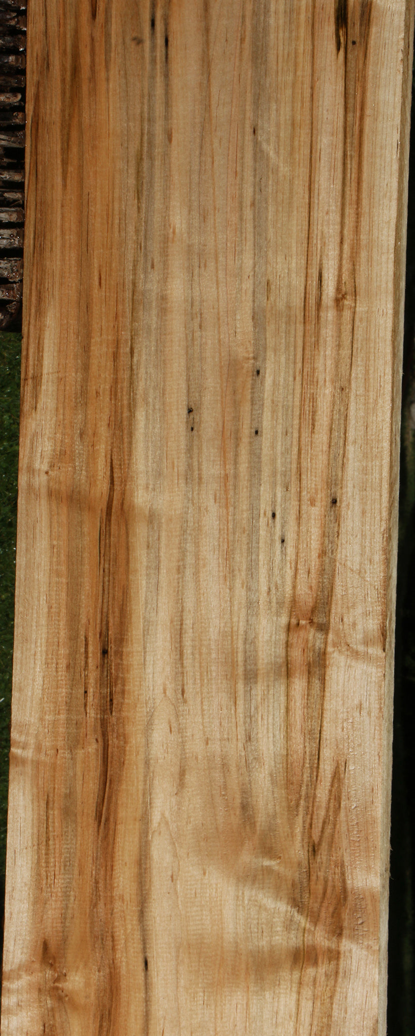 Figured Ambrosia Maple Lumber