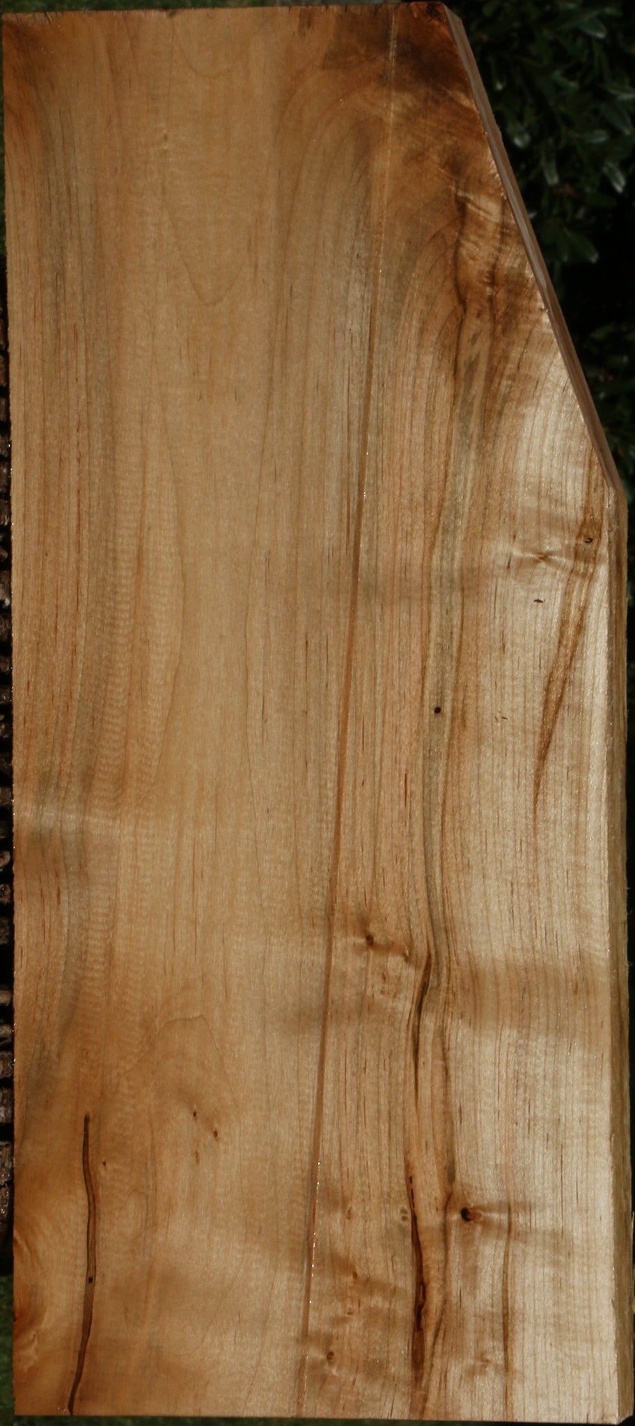 Ambrosia Maple Lumber