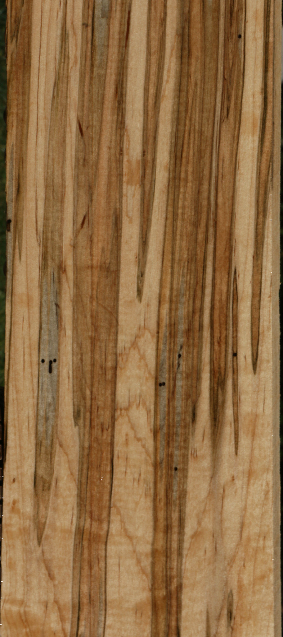 Extra Fancy Ambrosia Maple Lumber