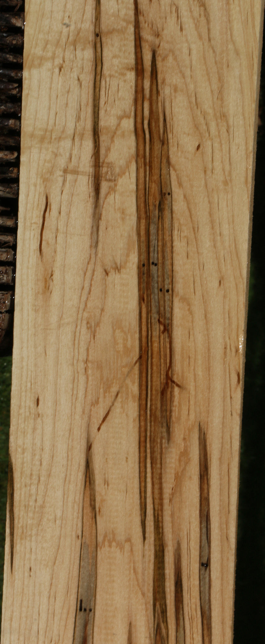 Extra Fancy Ambrosia Maple Lumber