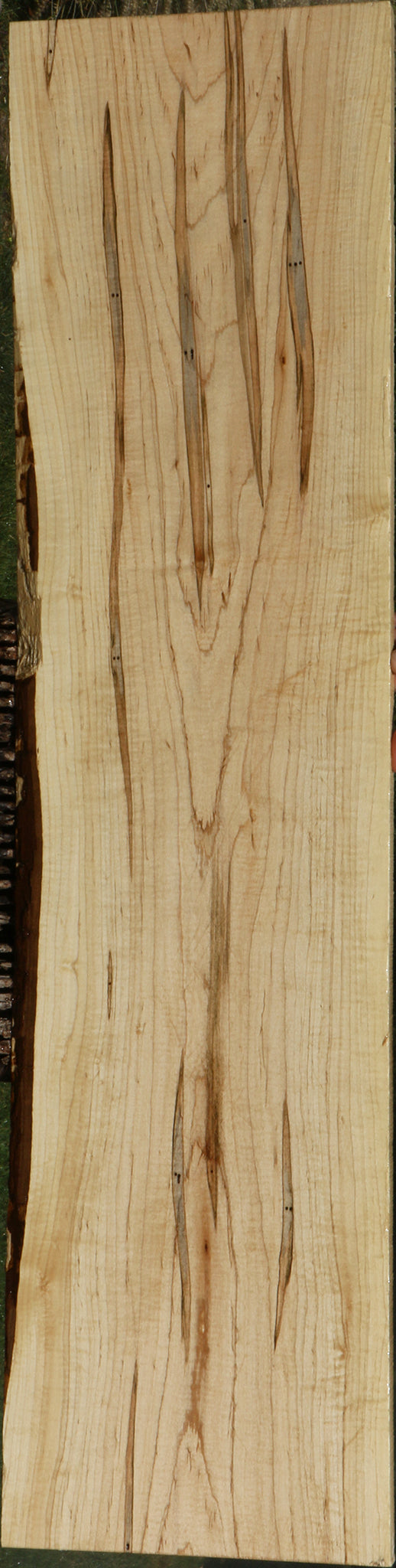 Figured Ambrosia Maple Lumber