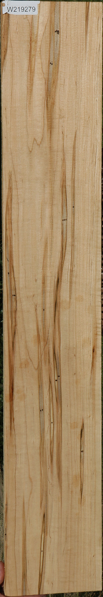 Figured Ambrosia Maple Lumber