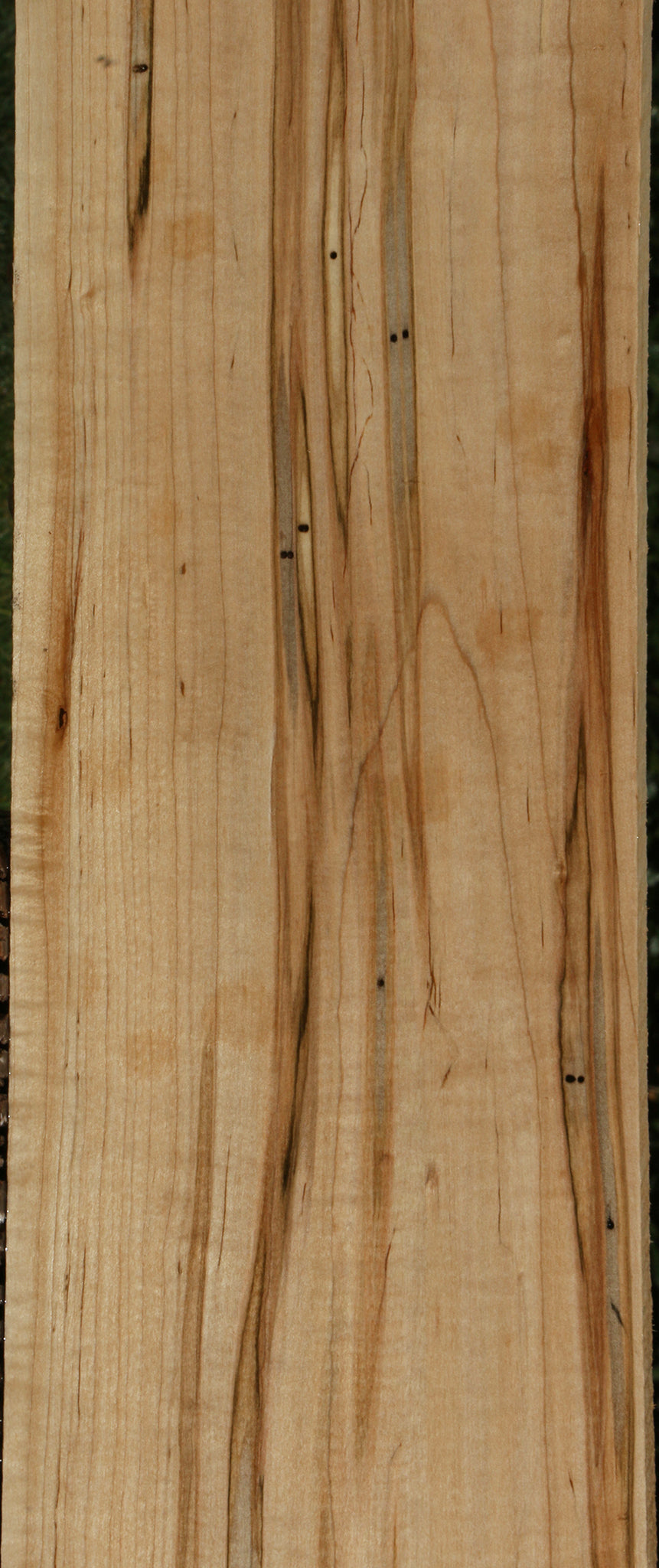 Figured Ambrosia Maple Lumber