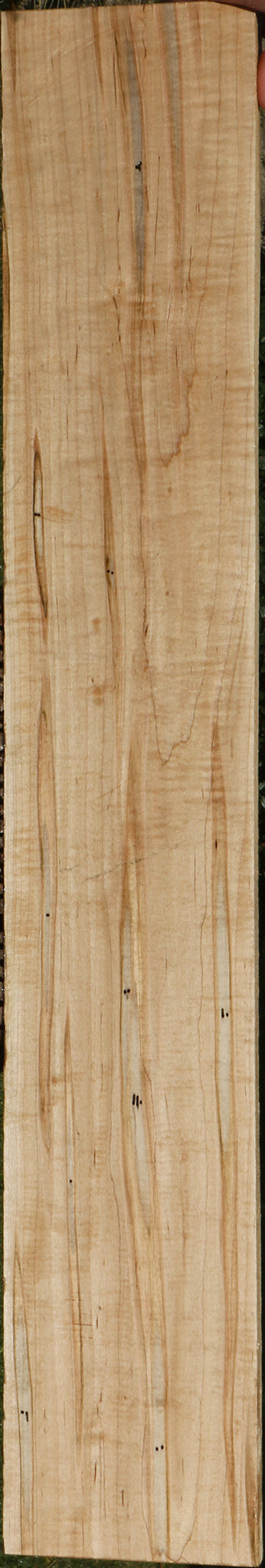 Figured Ambrosia Maple Lumber