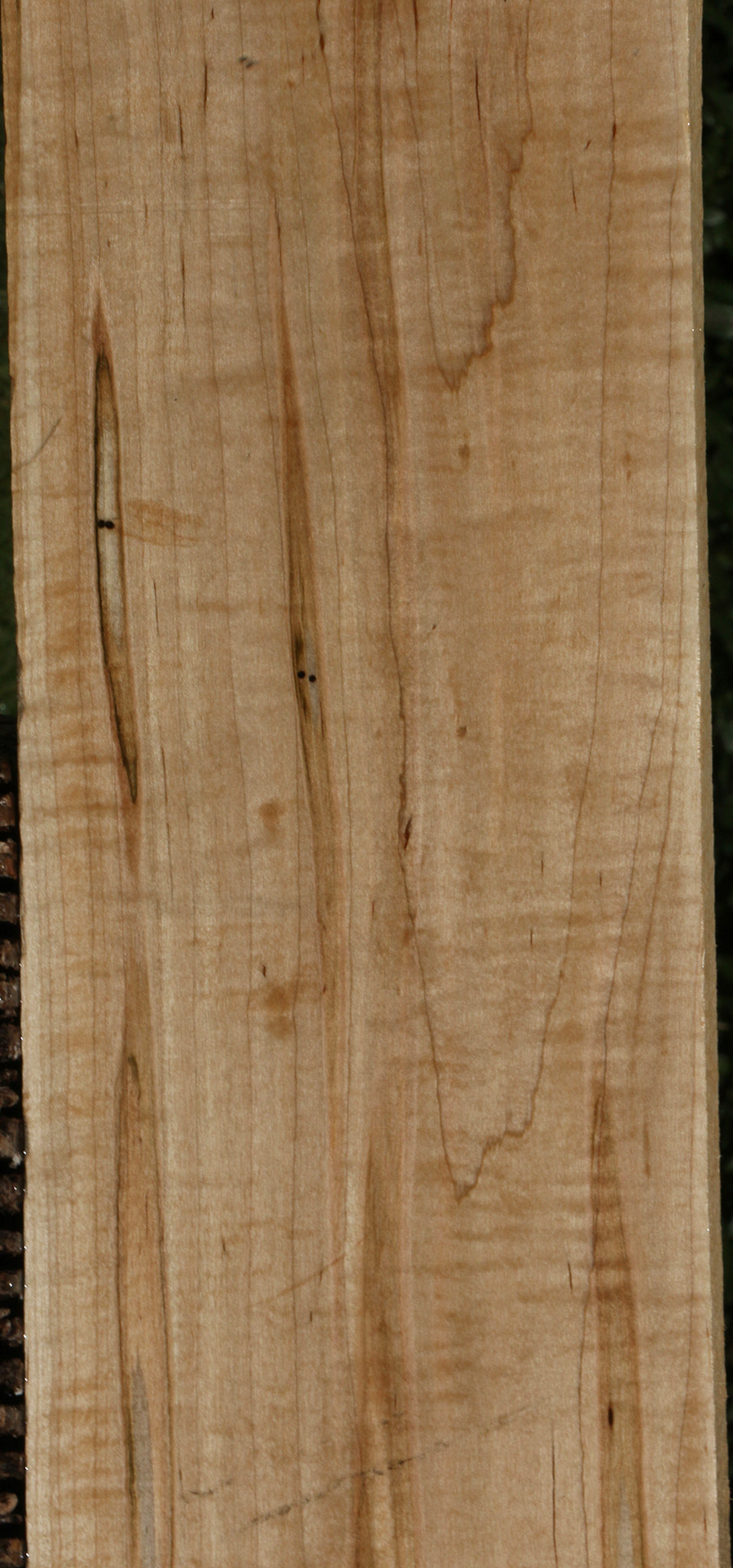 Figured Ambrosia Maple Lumber