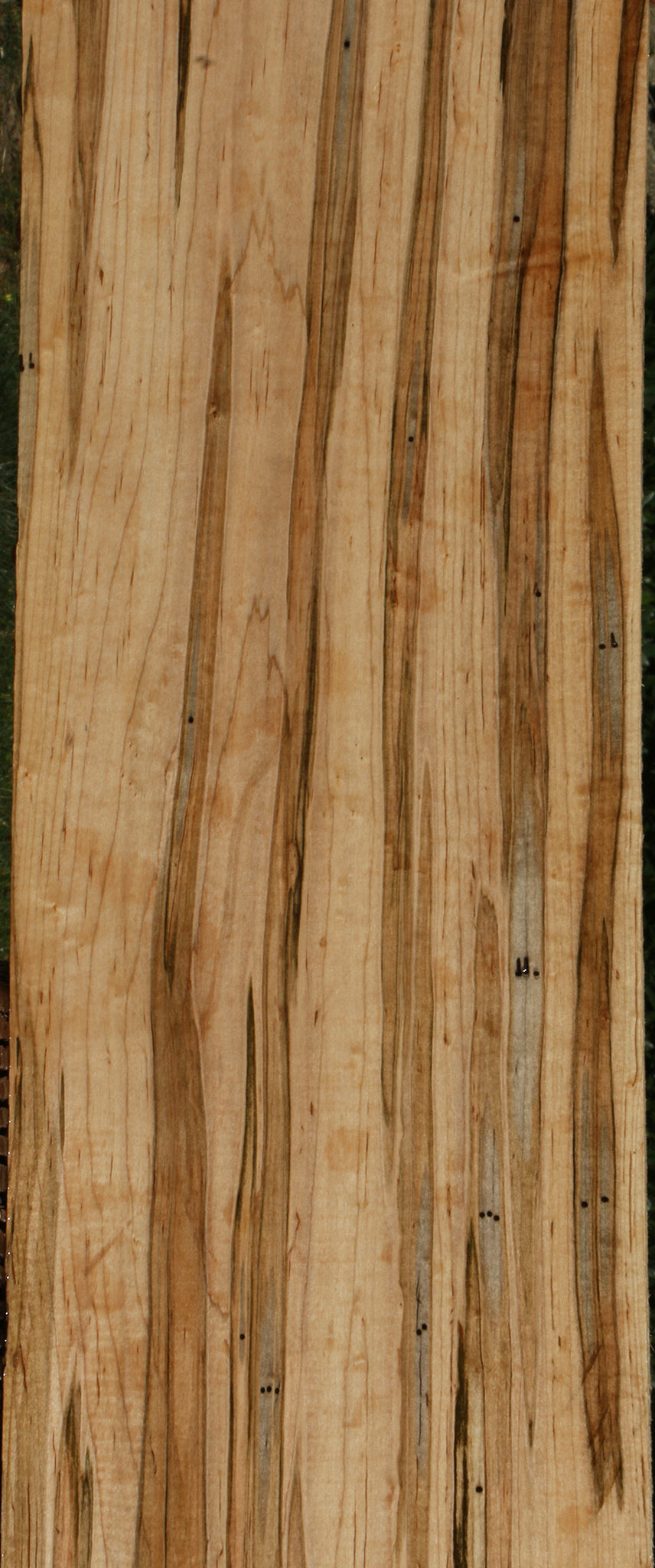 Extra Fancy Ambrosia Maple Lumber