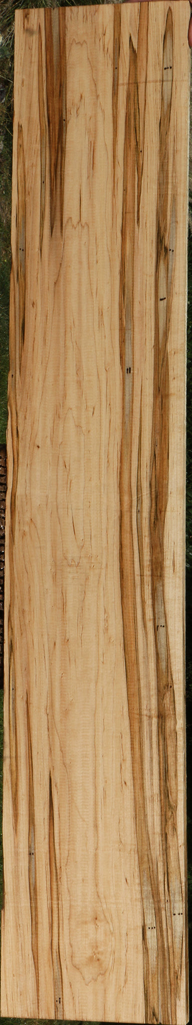 Extra Fancy Ambrosia Maple Lumber