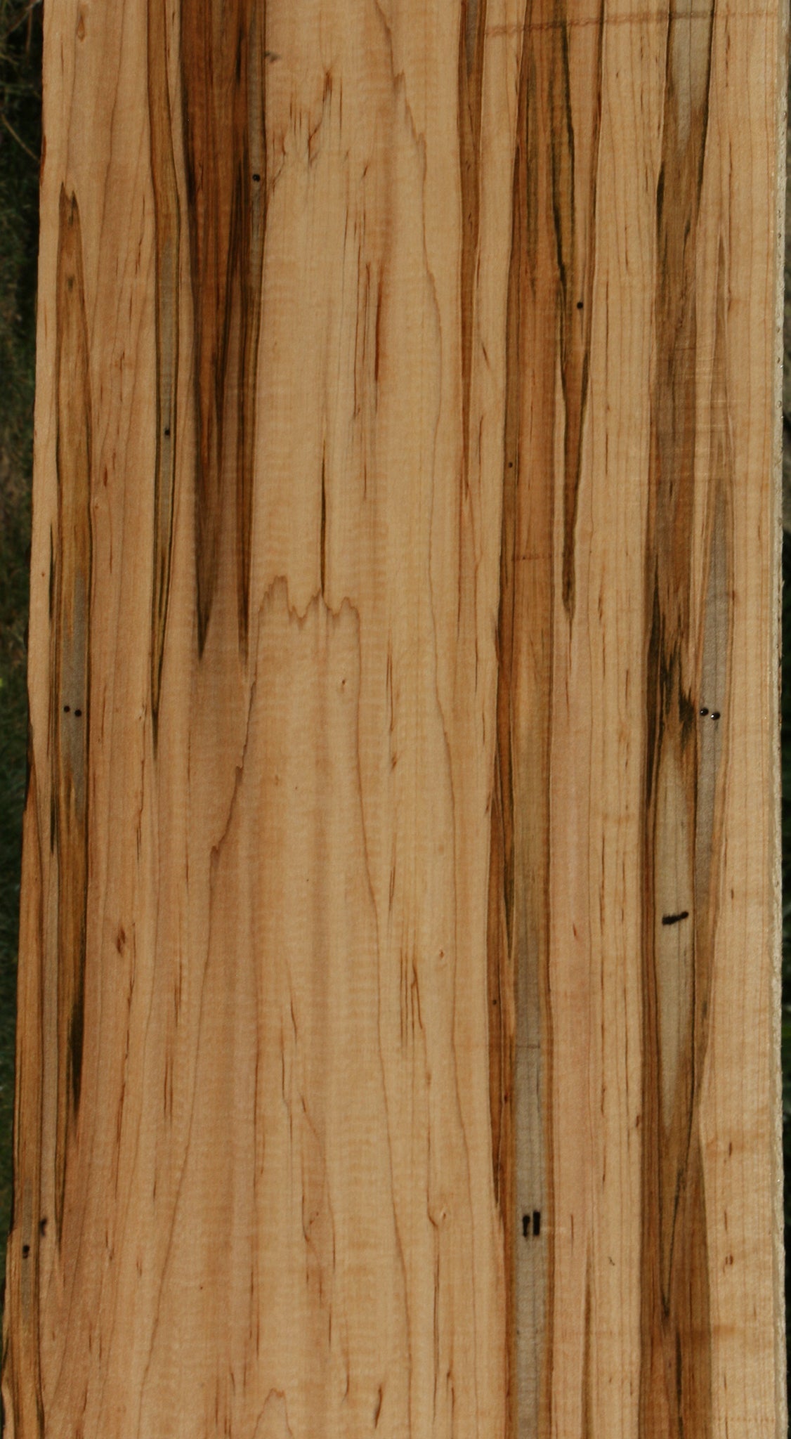 Extra Fancy Ambrosia Maple Lumber