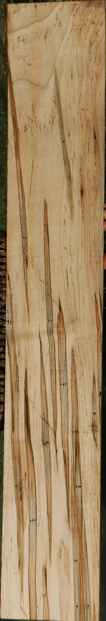 Extra Fancy Ambrosia Maple Lumber