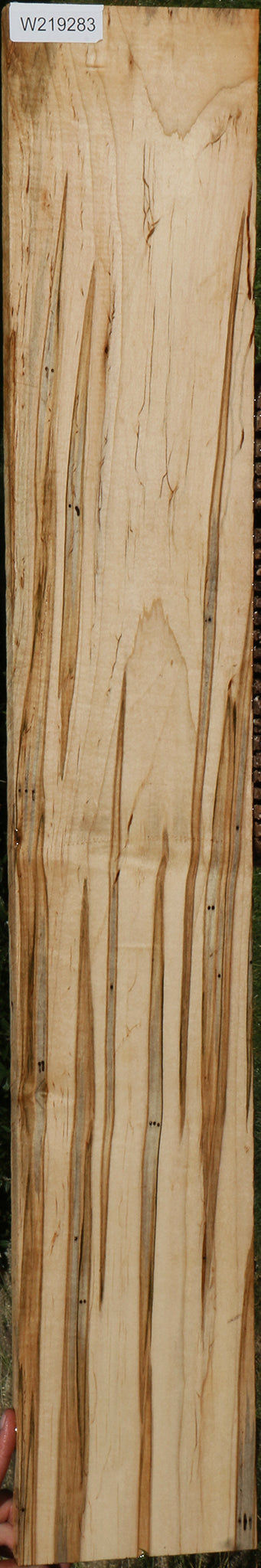 Extra Fancy Ambrosia Maple Lumber