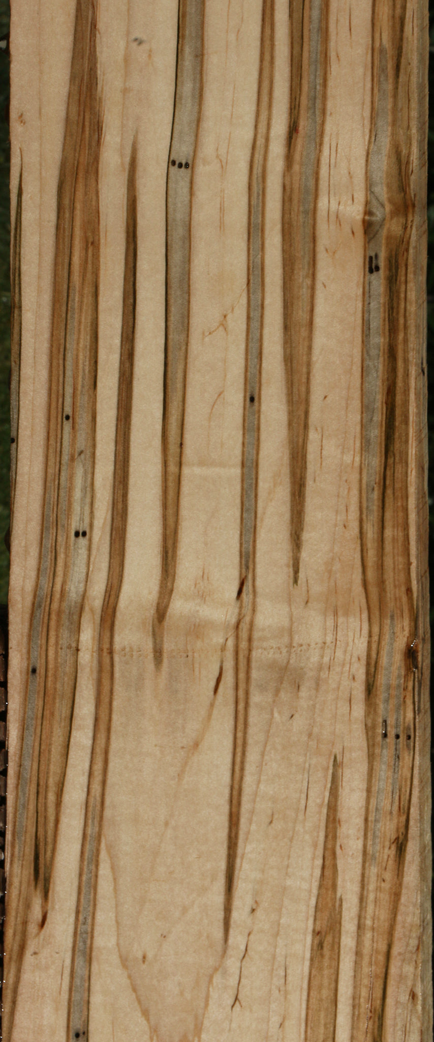 Extra Fancy Ambrosia Maple Lumber