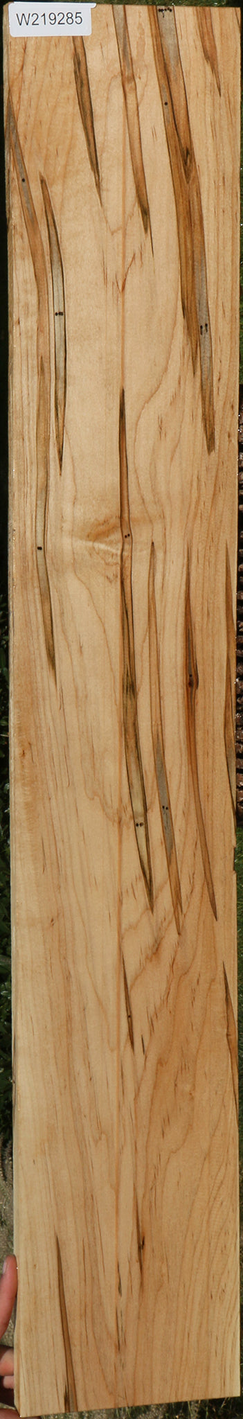 Figured Ambrosia Maple Lumber