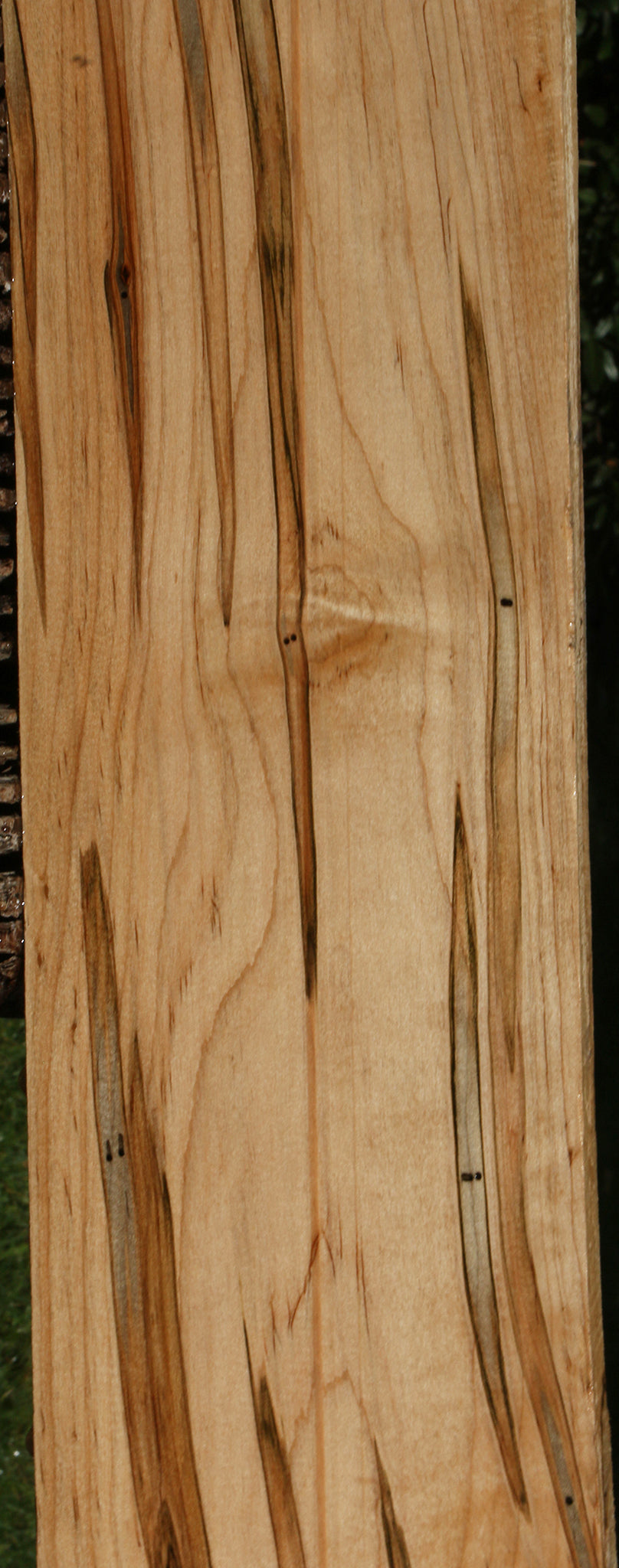 Figured Ambrosia Maple Lumber