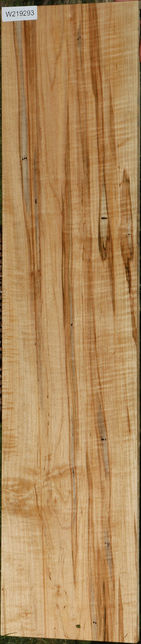 Extra Fancy Fiddleback Ambrosia Maple Lumber