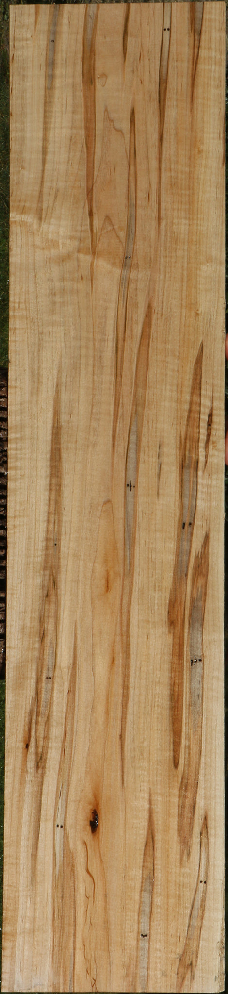 Extra Fancy Fiddleback Ambrosia Maple Lumber