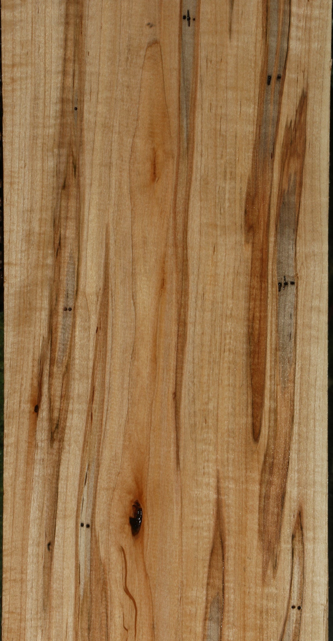 Extra Fancy Fiddleback Ambrosia Maple Lumber