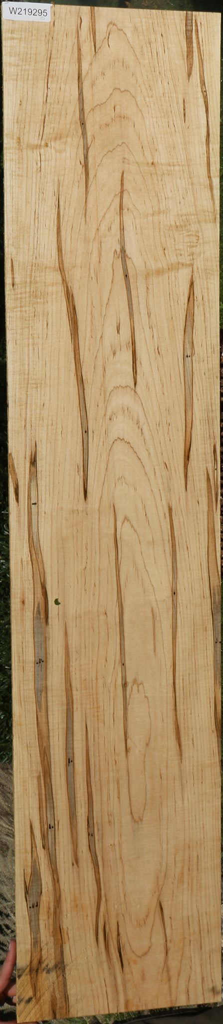 Extra Fancy Fiddleback Ambrosia Maple Lumber