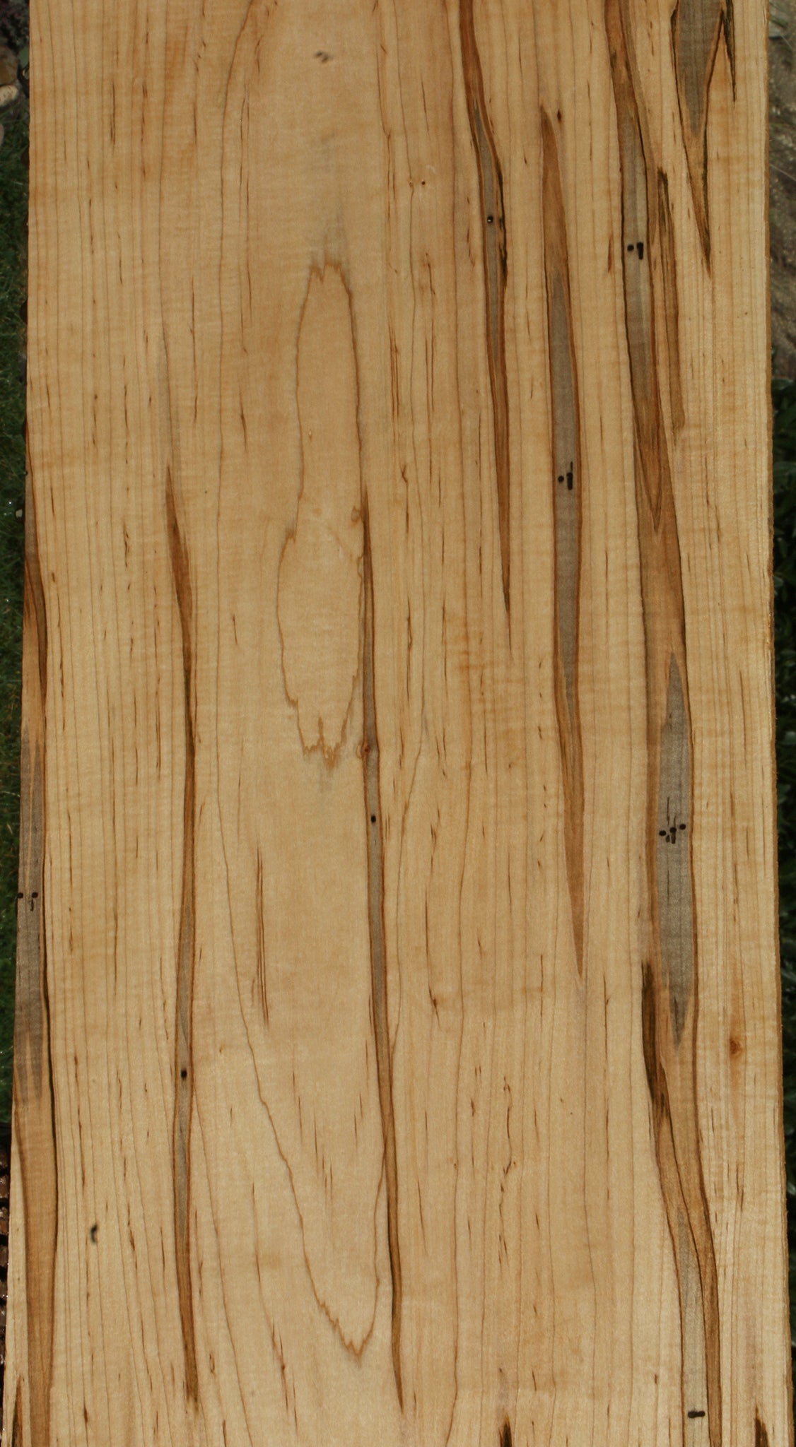 Extra Fancy Fiddleback Ambrosia Maple Lumber