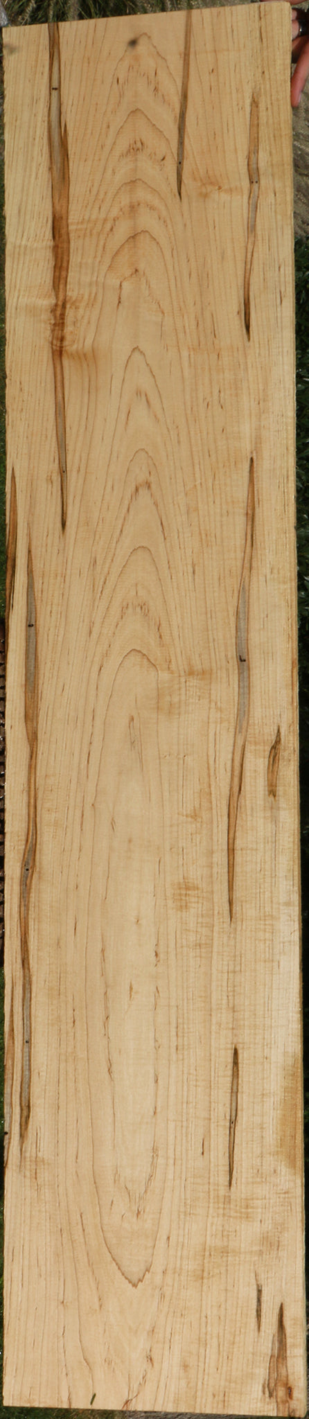 Extra Fancy Fiddleback Ambrosia Maple Lumber