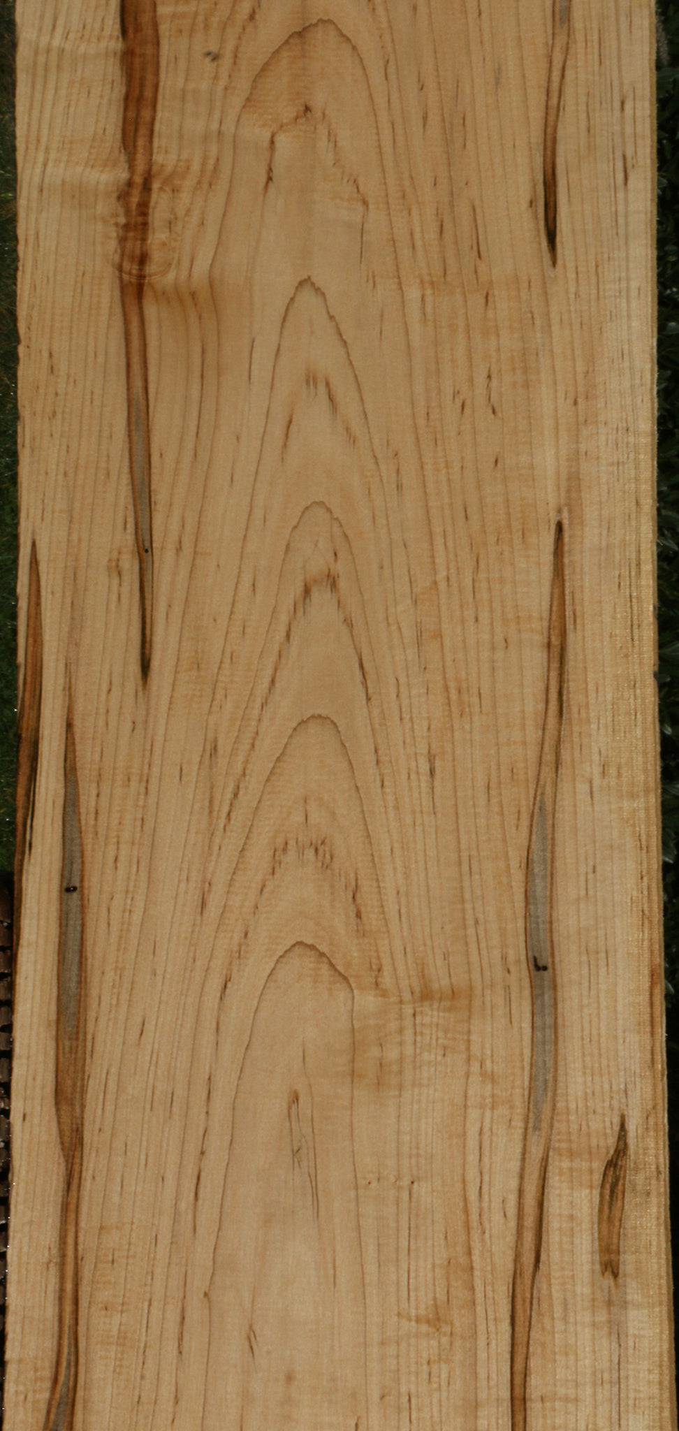 Extra Fancy Fiddleback Ambrosia Maple Lumber