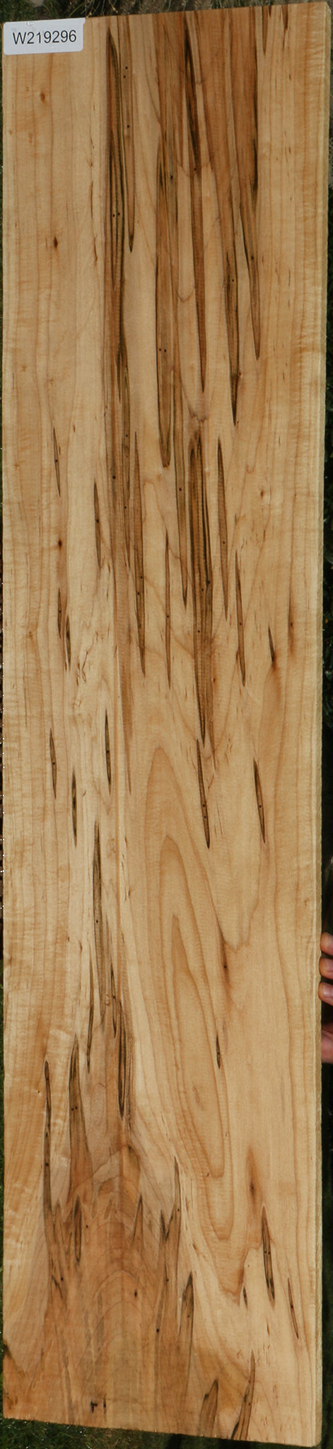 Figured Ambrosia Maple Lumber