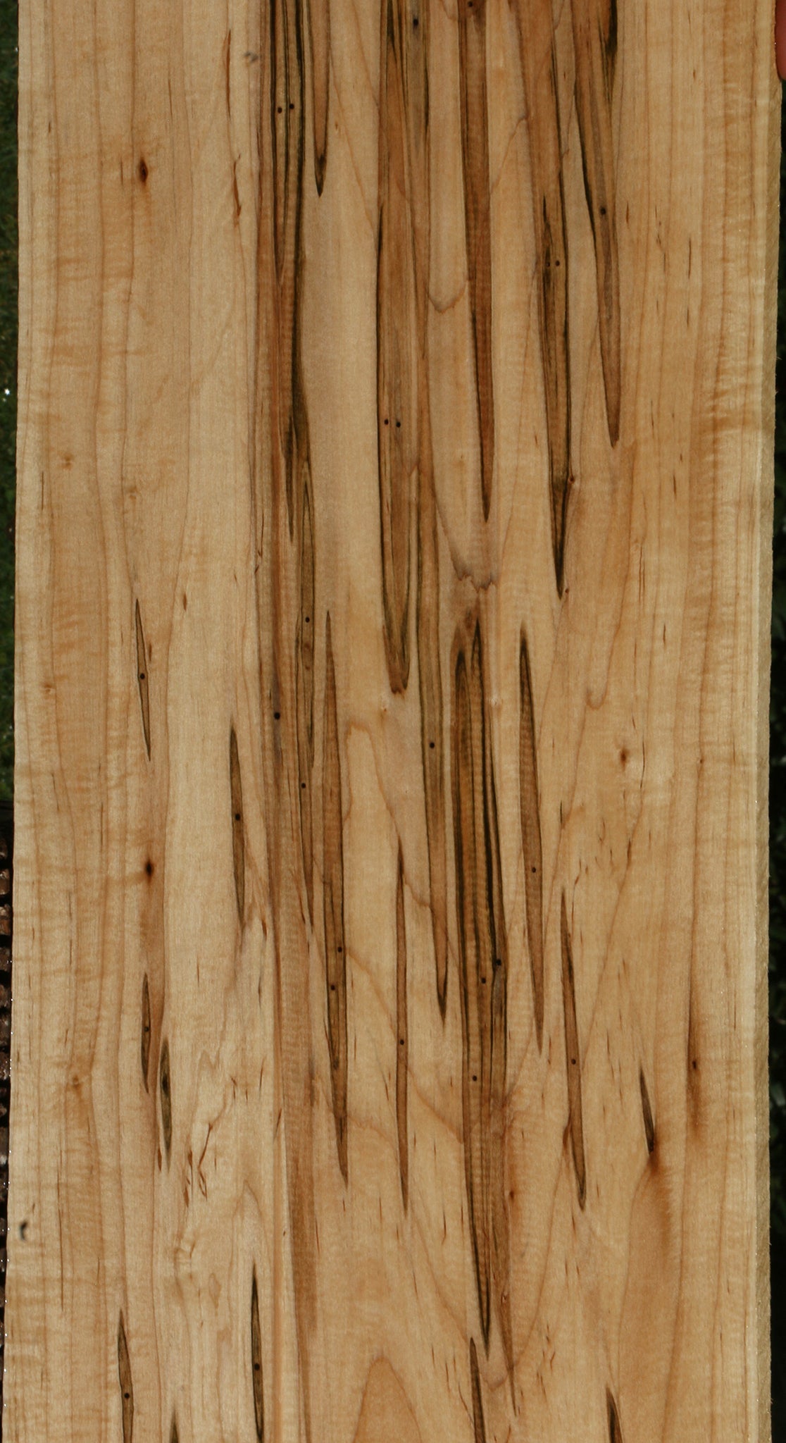 Figured Ambrosia Maple Lumber