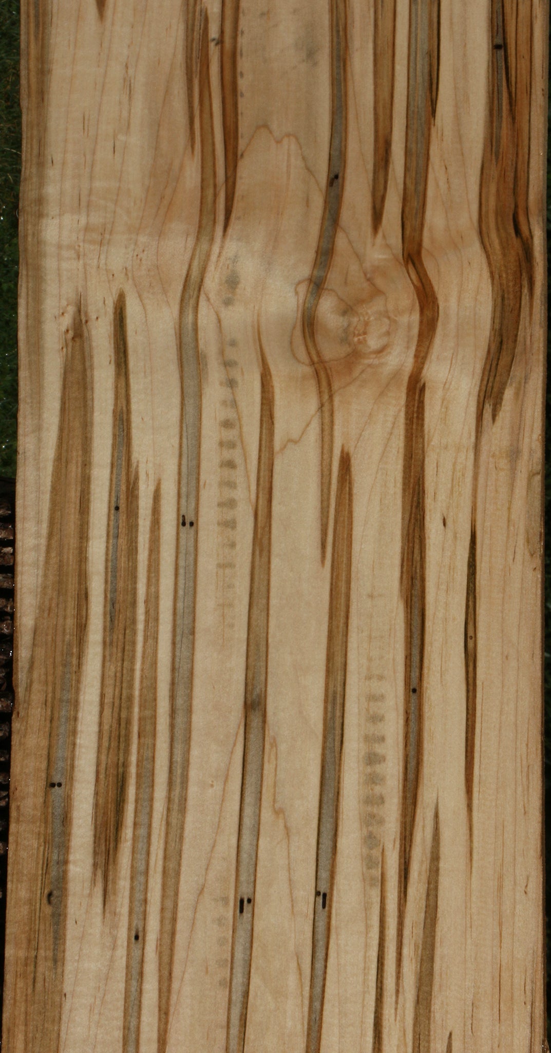 Extra Fancy Ambrosia Maple Lumber