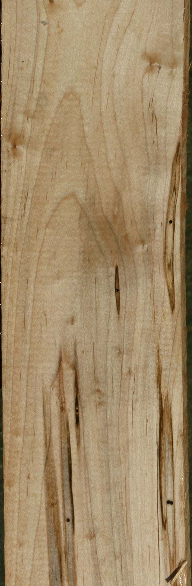 Figured Ambrosia Maple Lumber