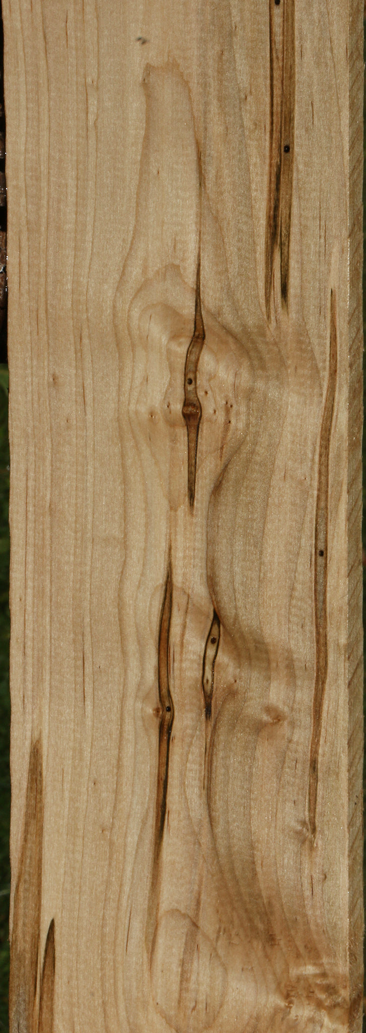 Figured Ambrosia Maple Lumber