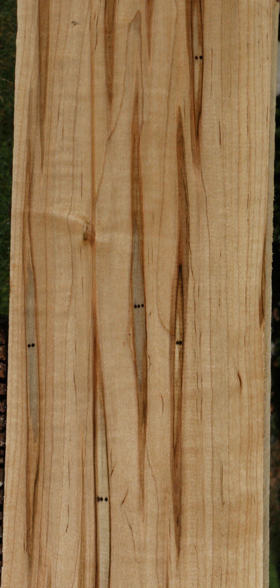 Figured Ambrosia Maple Lumber