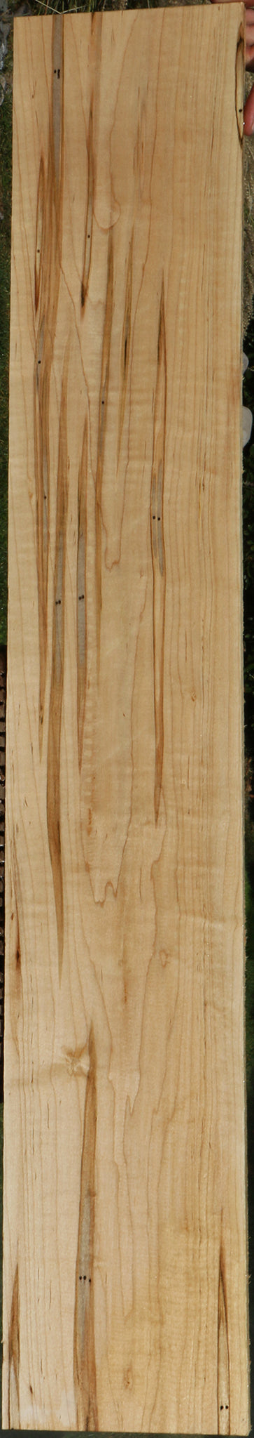 Figured Ambrosia Maple Lumber