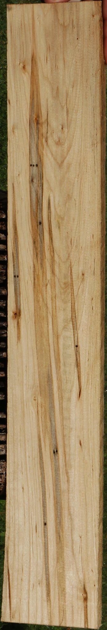 Figured Ambrosia Maple Lumber