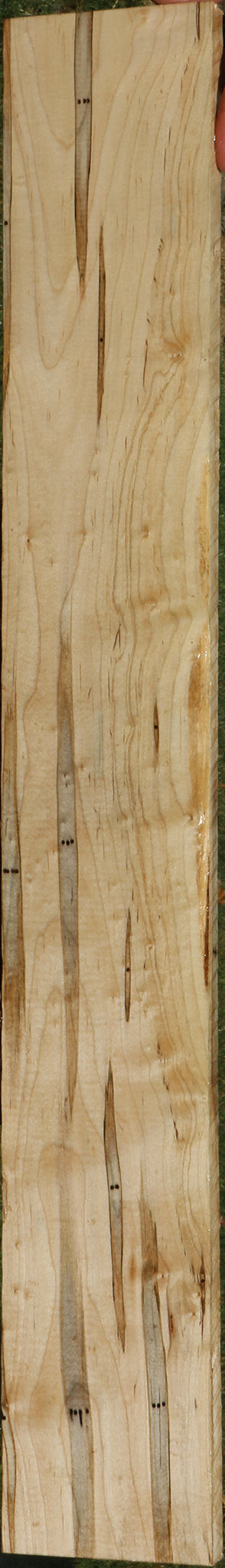 Figured Ambrosia Maple Lumber